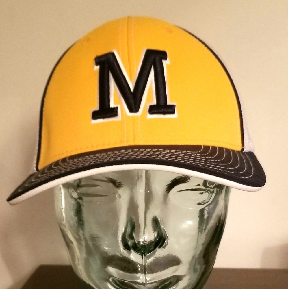 Panthers Fitted Cap